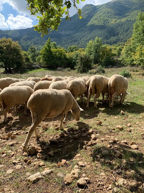 Majellando Escursioni in Abruzzo