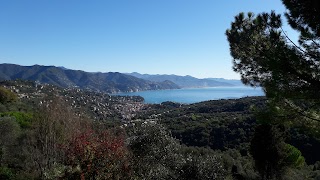 Shipping Di Del Cap. Renato Segoni