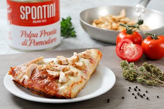 Spontini