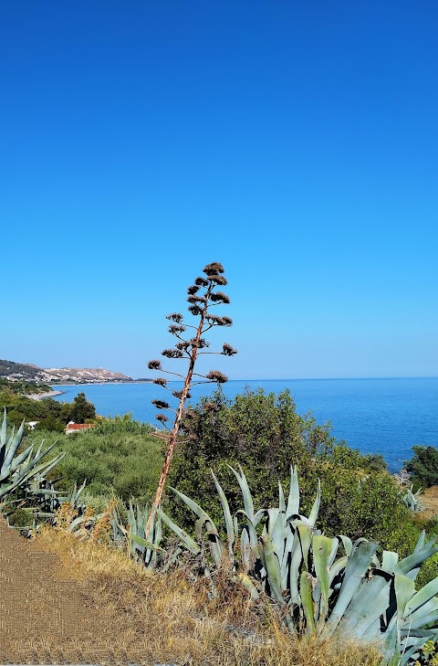 Guide Calabria