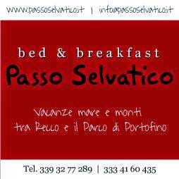 B&B Passo Selvatico