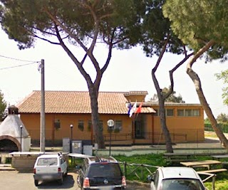 Scuola dell'Infanzia e Primaria Rita Levi Montalcini