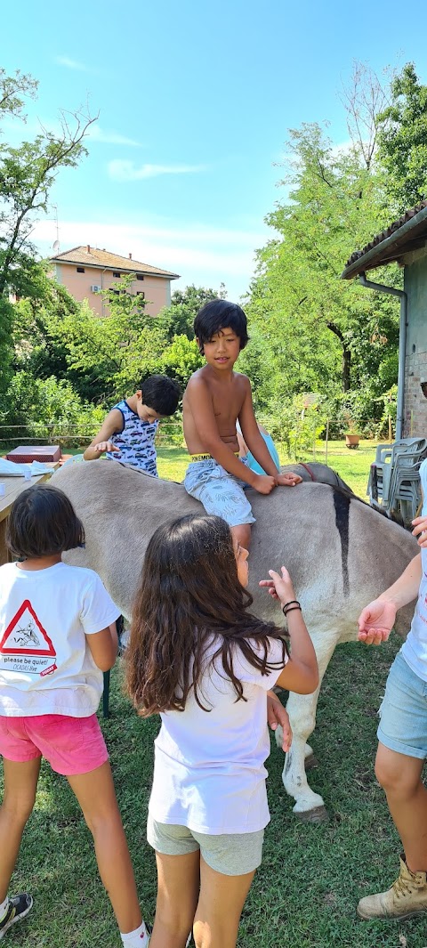 Fattoria di animazione ambientale L'Asino dell'Ariosto