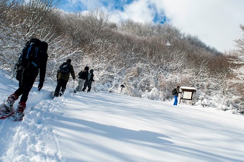 Il Ponticello Trekking Viaggi