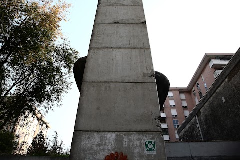 Scuola Nuoto Pinnato Padova