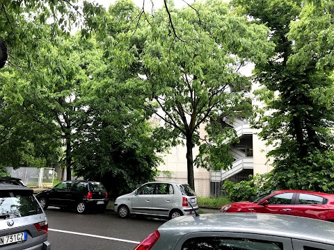 Liceo Scientifico Statale "Arturo Tosi"