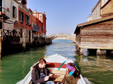 Vidal Venice Tours