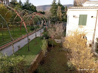 CREA Viticoltura Enologia Laboratorio di Velletri- ROMA