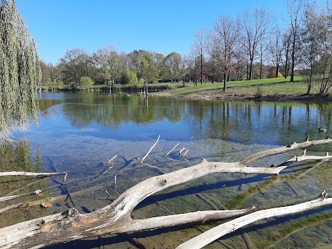 Stagno della Pellerina