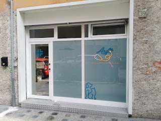 Ambulatorio Veterinario Argo