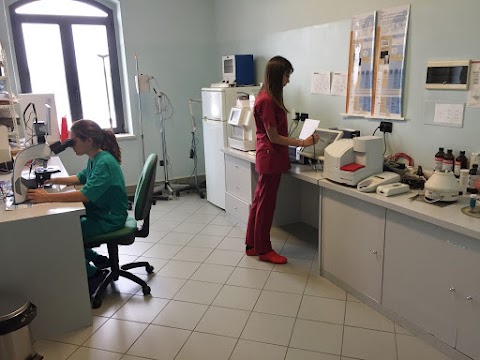 Clinica Veterinaria Sant'Eusebio