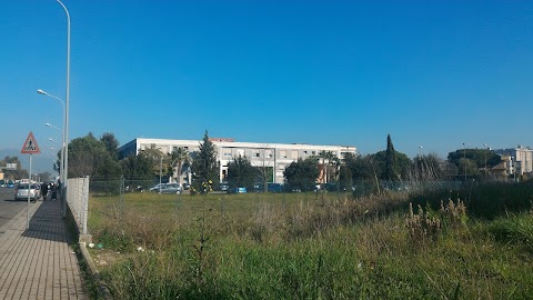 Liceo Statale Alessandro Manzoni