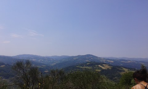 Centro Tutela e Ricerca Fauna Esotica e Selvatica- Monte Adone