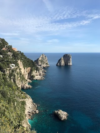 Blue Grotto tours & Capri