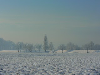 Scuola Primaria Ronco Campo Canneto