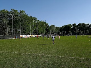 Associazione Sportiva Calcio Lido di Venezia