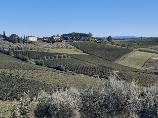 Agriturismo Borgo Vigna Vecchia