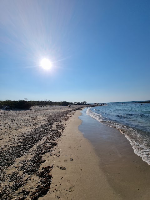 Spiaggia Torre Guaceto - Riserva Naturale