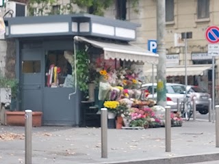 Fioraio piazza Gobetti