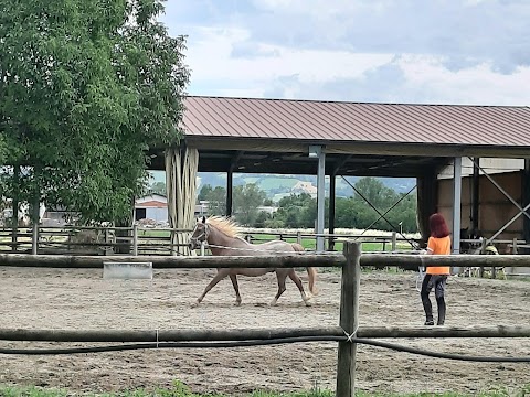 Circolo Ippico "Il Tralcio"