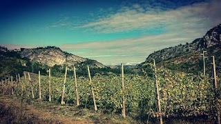 Associazione Turistica Pro Loco Di Tossignano