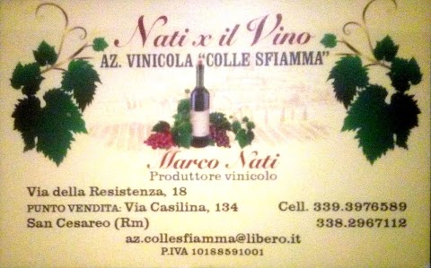 Enoteca NATI PER IL VINO