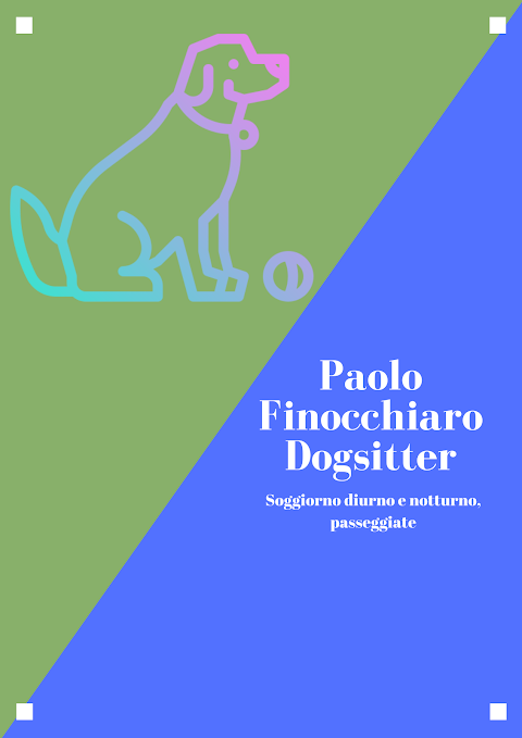 Paolo Finocchiaro Dogsitter Catania