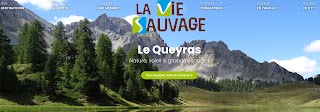 La Vie Sauvage Rando - Agence de voyage spécialiste de la randonnée dans les Alpes