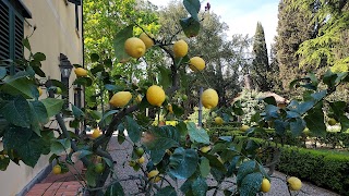 Fattoria La Collina