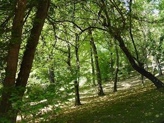 Orto Botanico dell'Università di Siena