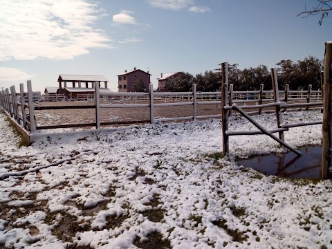 Centro ippico la Fenice