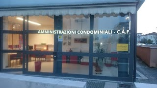 C.A.F. Conegliano