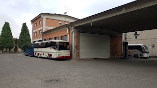 Giacobazzi Bus Di Giacobazzi Giorgio E C.snc