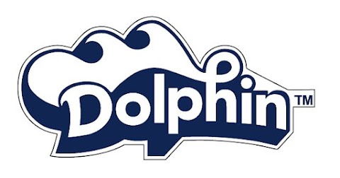 Solare Piscine - Manutenzione Piscine - Assistenza e Riparazione robot Dolphin