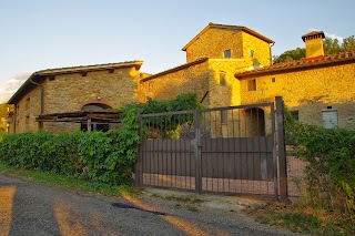 Agriturismo Mezzano in Chianti