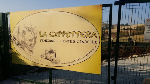 La Cippottera