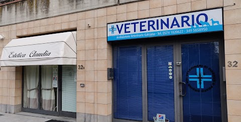 Ambulatorio Veterinario Galciana