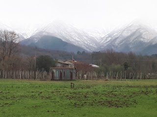 B&B Poggio delle Rondini