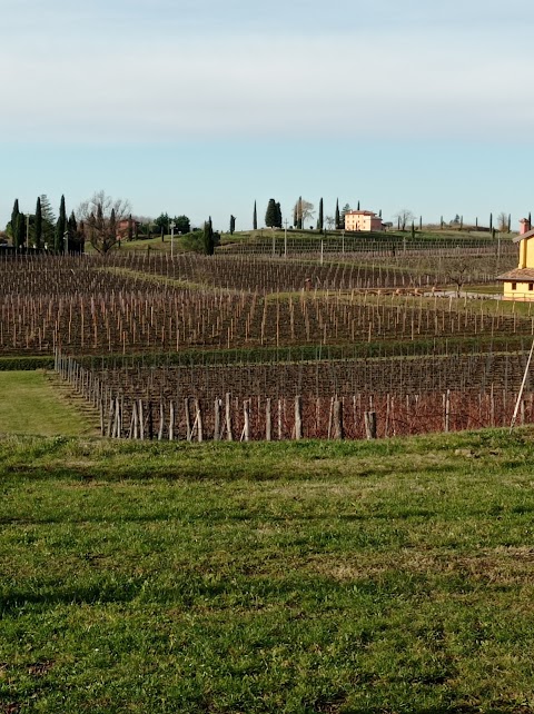 Sentiero delle Vigne Alte