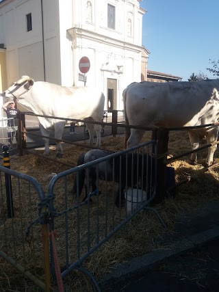 Lavanderia Self Service ACQUAMICA