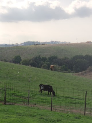 Fattoria didattica