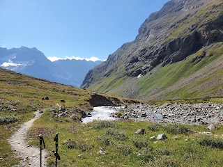 Kailas Viaggi & Trekking