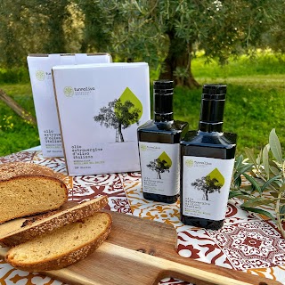 Tunnaliva | Oleicoltori Siciliani
