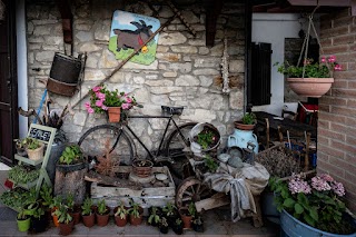 Azienda Agricola La Dinara