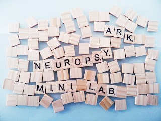 NeuroPsy mini LAB