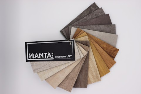 Pianta Srl