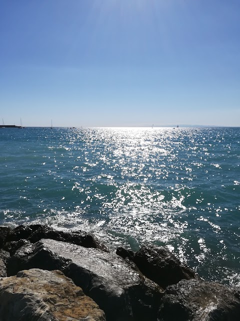 Spiaggia per cani