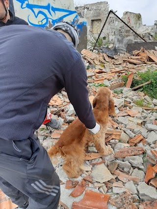 Centro Cinofilo WE CANe