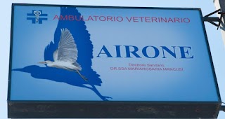 Ambulatorio Veterinario Airone