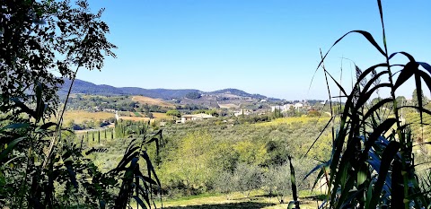 Galadriel snc - di Bartalini Silvia e Manzi Margherita